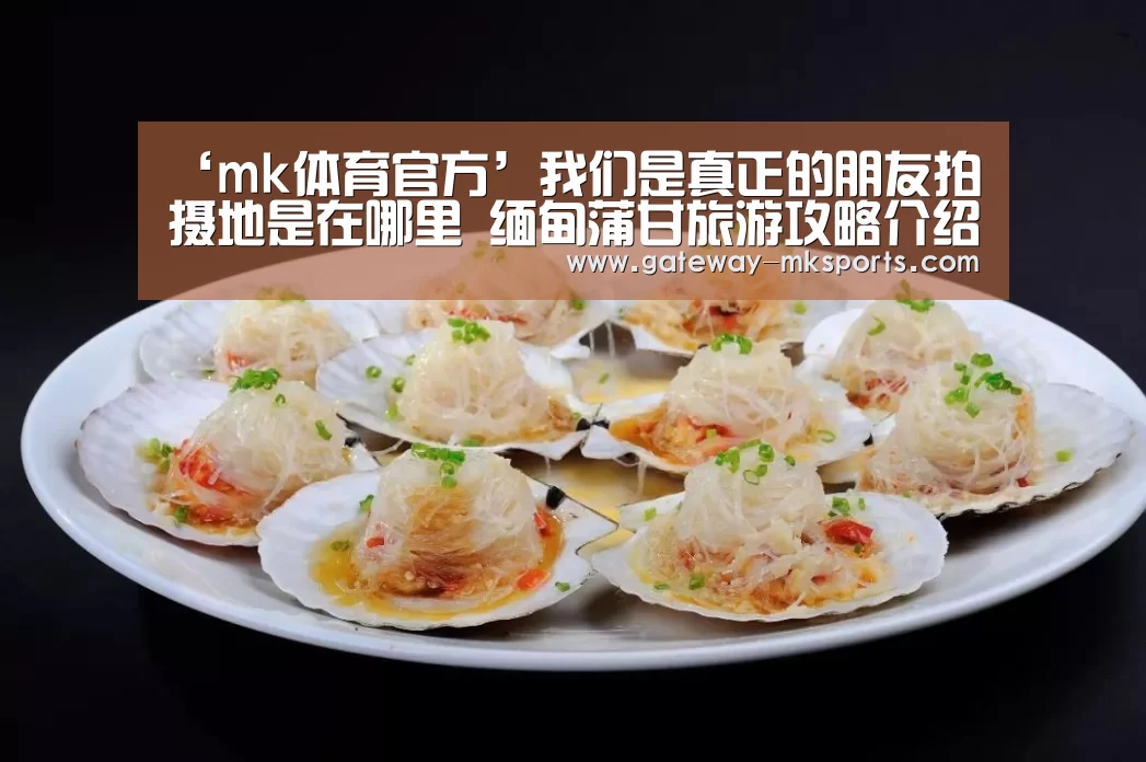 mk体育官方