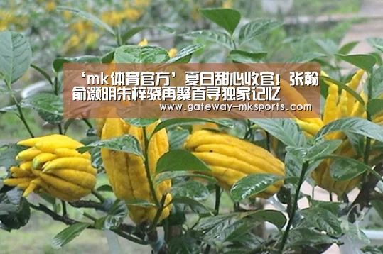 mk体育官方