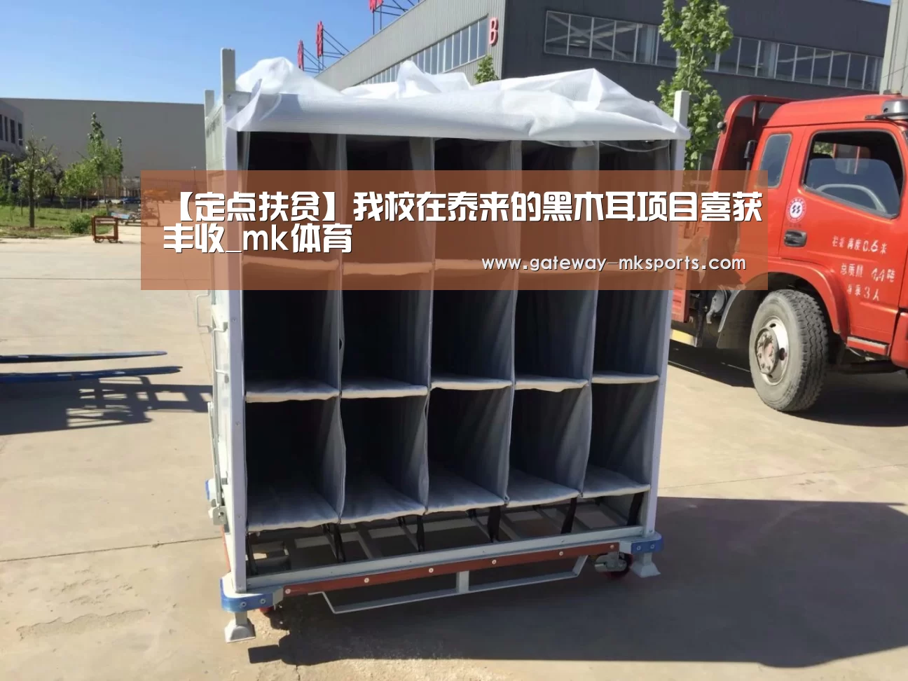 mk体育官方